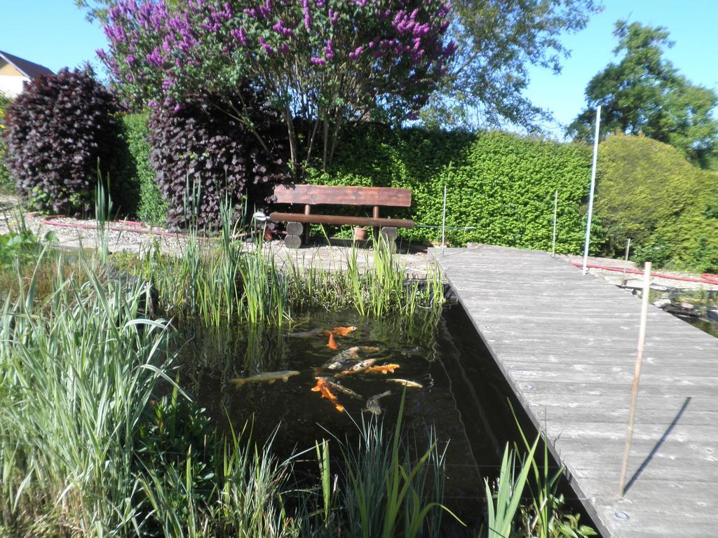 Fewo Traut Wittlich Extérieur photo